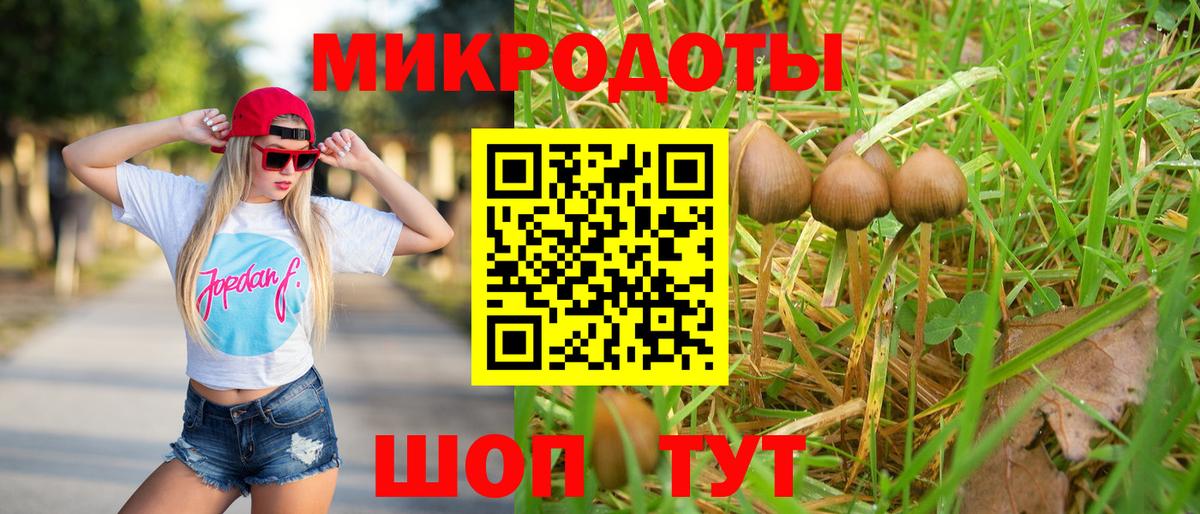 Черкесск  Псилоцибиновые грибы Psilocybe  Вход с VPN  Псилоцибиновые грибы Cubensis 